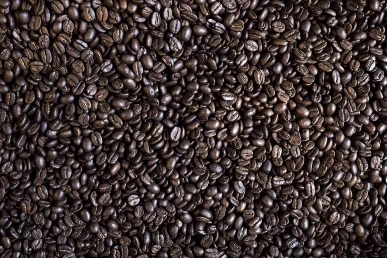 Sustainable Coffee Farming: Small Changes Making a Big Impact